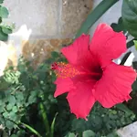 Pensjonat Dimora Del Parco