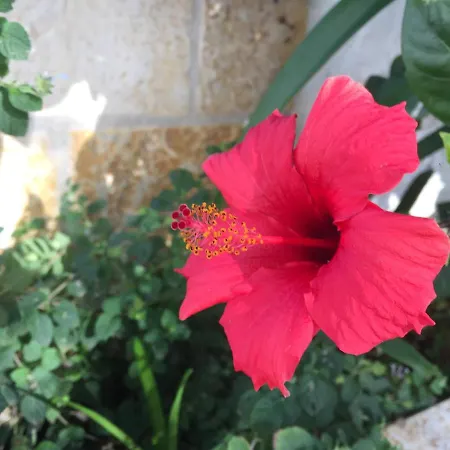 Pensionat Dimora Del Parco